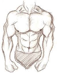 Muscles of the superficial and intermediate layers are shown in the drawing on this page; Muscular Body Sketch By Sixarmedwerewolf On Deviantart