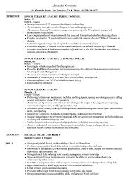 Senior Treasury Analyst Resume Samples Velvet Jobs