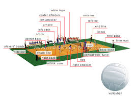 The court is 60 feet long and 30 feet wide. Volleyball Court Diagram