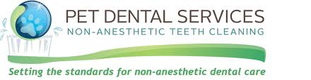 Affordable pet dental care near me. Pet Dental Services Anesthesia Free Teeth Cleaning For Dogs And Cats Dog Teeth Cleaning Dog Dental Care Cat Teeth Care Dog Teeth Problem Pet Dental Hygiene