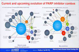 Giriş yap veya üye ol. Philippe Aftimos Md On Twitter Asco19 Oncoalert Timothy Yap Discusses The Rationale And Expected Future Landscape Of Combinations With Parp Inhibitors Https T Co Dufd7rwk4n