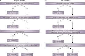 Image result for Ventricular Fibrillation Management in the Adult