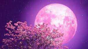 Sleep Meditation Music Mp3 Download Relaxing Zen Music Meditation Music Sleep Relaxing Music Sleep Deep Sleep Music