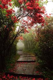 Pin Von Maria Elsa Blanco Auf Paisagens Bilder Beauty Tipps Herbst