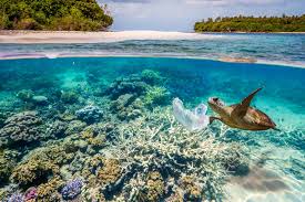 700 Marine Species Might Go Extinct Because Of Plastic Pollution Here Are 5 Ways You Can Help Starting Earth Day Plastic Pollution Species Extinction Save Our Oceans
