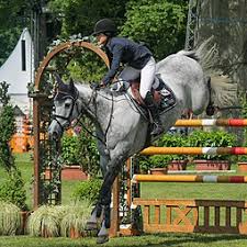 She was born in the year 1991 and her birthday is on december 30. Jessica Springsteen Wikipedia