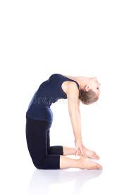 That will eventually get your blog banned and we don't want to do that. 871 Camel Pose Photos Free Royalty Free Stock Photos From Dreamstime