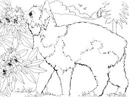 These small domestic felines are very independent animals, but sometimes also very affectionate and love to make them caresses and signs of affection. Coloring Pages Of A Cat Coloring Home