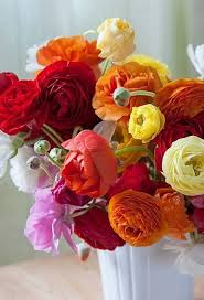 Ranunculus Flowers Centerpiece Good Morning Flowers Flowers Beautiful Flowers