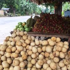 Pin On Healthy Living