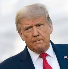 TC Weekly News December 23