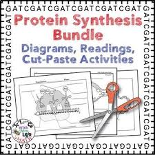 Get started on activity b. 160 Biology Materials Dna Rna Proteins Ideas Biology Teaching Biology Dna