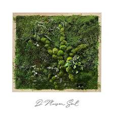 Mousse Wall Art 16 X 16 Decor De Maison Naturel Conserve De Mousse Et De Plantes Art De La Mousse Art Vert Eco Decor Pl Moss Wall Art Moss Art Moss Wall