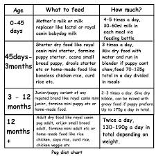 Complete Diet Plan For Pug Puppies And Dogs In India