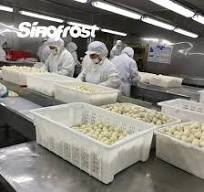 Cung cấp nhà sản xuất khoai môn đông lạnh đã bóc vỏ dạng ...