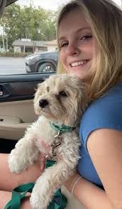 Lawn care recommendations for autism family in Papillion?