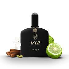 Perfume árabe Zircônia Privé V12 Masculino