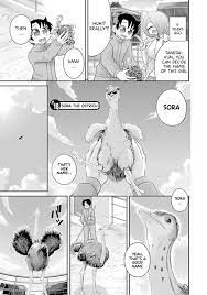 Kemokko