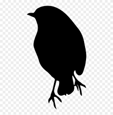 Video's direct beschikbaar in 4k en hd voor elke nle. Silhouette Of Robin Robin Bird Black And White Free Transparent Png Clipart Images Download