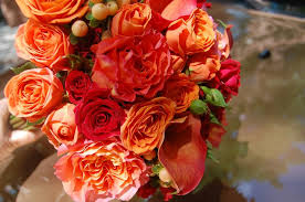 Roses, tulips, daisies, orchids, irises, gift baskets, plans Florist Friday Recap Any Day Is Great Day With Flowers