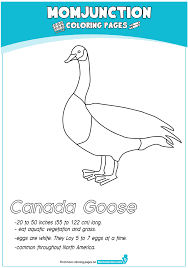 When a child colors, it improves fine motor skills, increases concentration. Goose Coloring Pages Books 100 Free And Printable