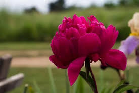 Pin On Natural Beauty