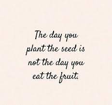 Planting Seeds Patiently Family Faith And A Bit Of Humor