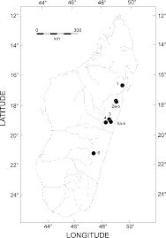 Model rusia bernama miha nika akun instagramnya diserbu netizen indonesia. Distribution Of Plethodontohyla Mihanika Numbers Of Localities Download Scientific Diagram