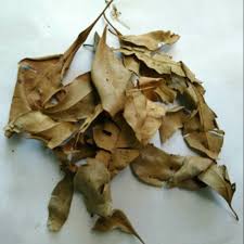 We did not find results for: Daun Cengkeh 500gram Shopee Indonesia