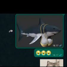 Jawabanya yh hiu tobrut ygy 😁🗿