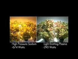 Maybe you would like to learn more about one of these? Lep Grow Light Plant Experiment Youtube