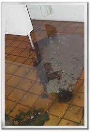 Exposure To Biological And Chemical Contaminants Can Pose Serious Health Consequences A Failure To Properly Remove Suc Biohazard Clean Up Restoration Services