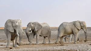 Bullying In The Workplace Part 1 Sticks Stones And Words Do Hurt Unabridged Leadership
