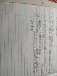 If the medium has a lower concentration of water than the cell, meaning that it is a very concentrated solution, the cell will lose water by osmosis. Loss Of Water By A Plant Cell Is Called Brainly In