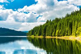 We did not find results for: 7 Locuri Uimitoare Din Romania De Care N Ai Auzit Inca Blogul Travelminit Ro