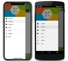 Xamarin apps are built with standard, native user interface controls. Xamarin Forms 4 0 Deep Dive Microsoft Details New Features Visual Studio Magazine