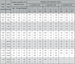 Endless Chain Sling Capacity Chart Www Bedowntowndaytona Com