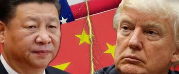 美讚「可靠又守信的買家」！台再砸682億狂買玉米大豆