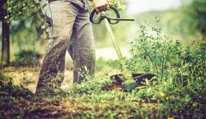 Petites Annonces Jardin Plantes Jardinage Emploi