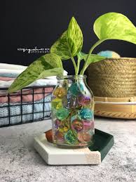 Check spelling or type a new query. Water Crystal Gel Untuk Indoor Plants Blog Sihatimerahjambu