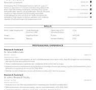 51+ CV Templates (for Every Job & Experience Level)