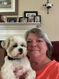 Chihuahua named Fluff demands attention from owner