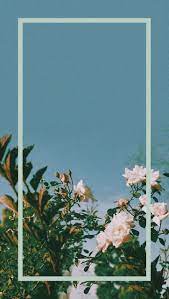 Screen wallpaper flower wallpaper tumblr wallpaper iphone wallpaper flower aesthetic red aesthetic aesthetic photo aesthetic pictures may 27 2019 explore isabelles board rose aesthetics on pinterest. Pin By Alma Sogaard Olbye On Wallpapers Aesthetic Iphone Wallpaper Tumblr Wallpaper Cute Wallpapers