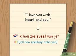 You can also say hey or (in slightly more formal regional variations for saying hello in dutch. How To Say I Love You In Dutch 9 Steps With Pictures Wikihow
