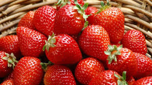 Hasil gambar untuk strawberry