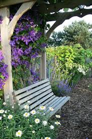 Love The Bench For Daydreaming While Enjoying The Purple Clematis Shasta Daisies Lazy Daisies By Live Mulch Shasta Daisy Jardins Beaux Jardins Idees Jardin