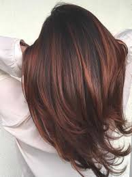 hairstyles luxury red hair color pictures photos