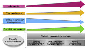 Myocarditis is a disease marked by inflammation and damage of the heart muscle. Myocarditis In The Pediatric Population Cmr Image Appraisal Of Myocardial Inflammation International Journal Of Cardiology
