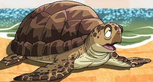 Tortuga Dragon Ball Dragon Ball Z Dragon