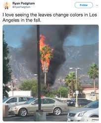If the silver screen is your first love, los angeles will likely be your next mailing address. Nyc Vs La 26 Photos That Show How Different They Really Are